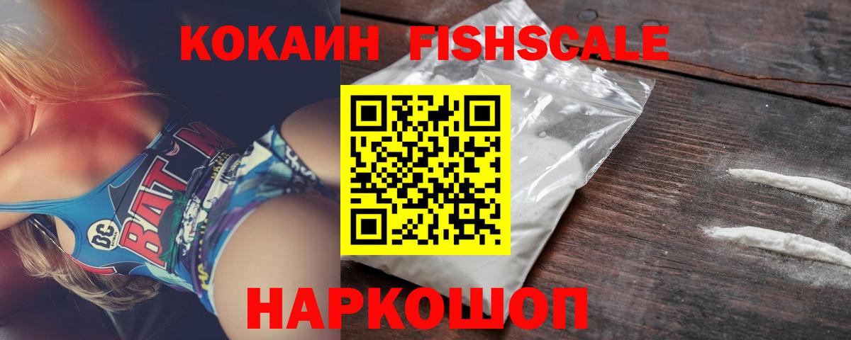 где купить наркоту  Вход с VPN  COCAIN FishScale  Тында  Кокаин 99% 