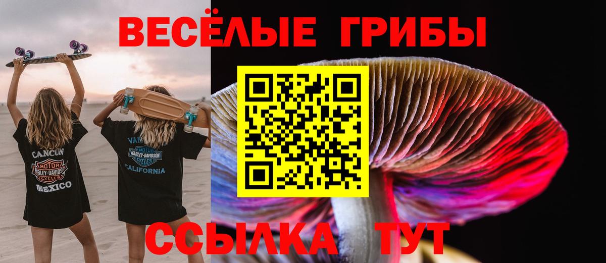 Псилоцибиновые грибы MAGIC MUSHROOMS Тында