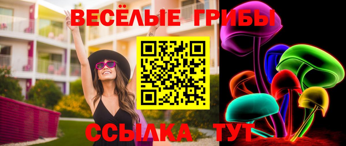 Галлюциногенные грибы GOLDEN TEACHER  Галлюциногенные грибы GOLDEN TEACHER  Вход с VPN  Тында 